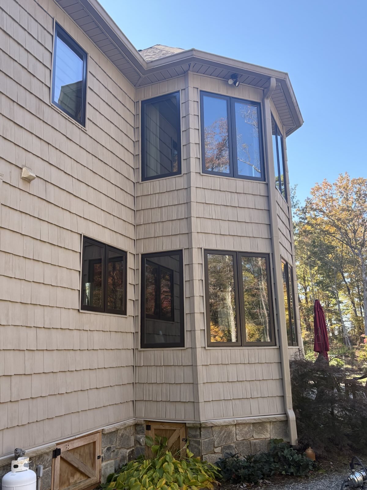 Professional Window Results