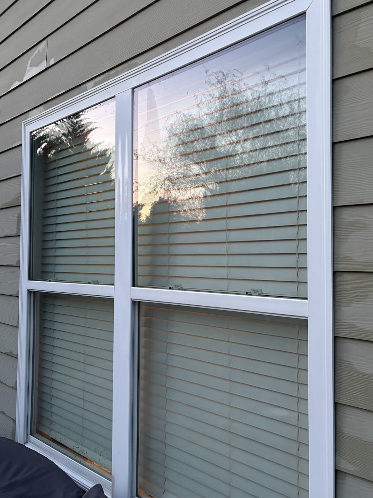 Sparkling Clean Windows Result