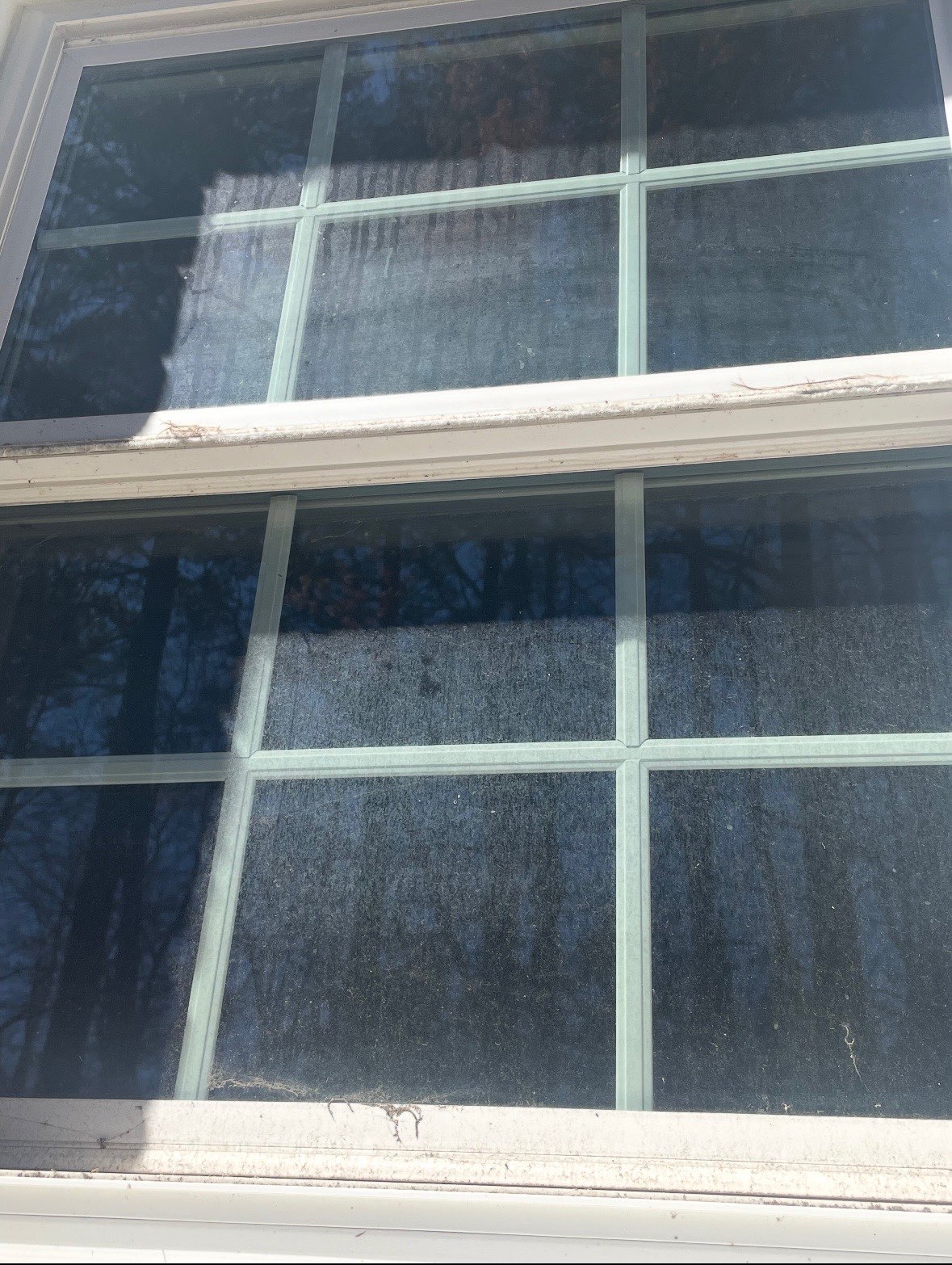 Dirty Window Before Service